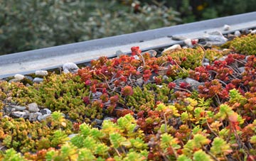 the cost of Walworth green roof installation