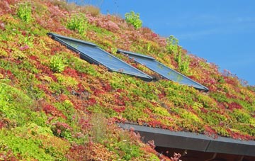 Walworth living roof systems
