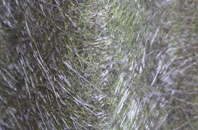 Walworth fibreglass roof work